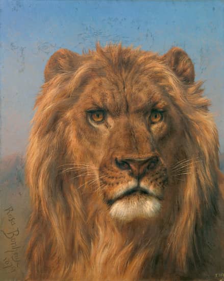 Rosa_Bonheur_-_Portrait_of_a_Lion_-_Prado