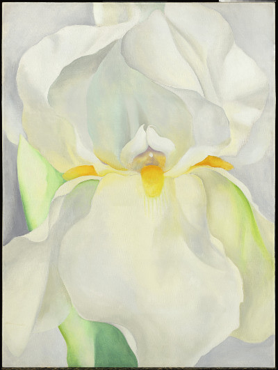 O_KEEFFE, Georgia_Lirio blanco nº 7, 1957_697 (1979.36)_4 Les femmes artistes au musée Thyssen